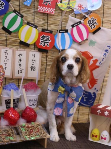 20240707マロくん